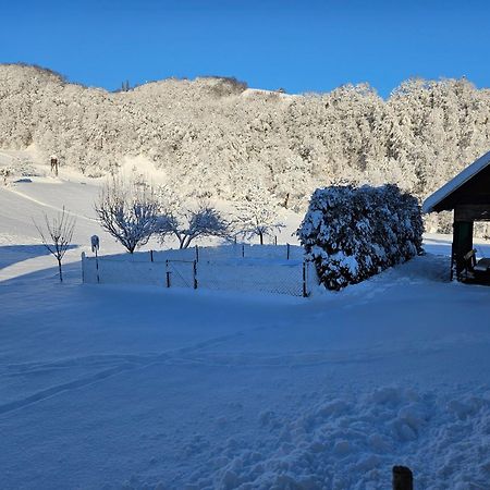 Buce Francek House Podcetrtekヴィラ エクステリア 写真