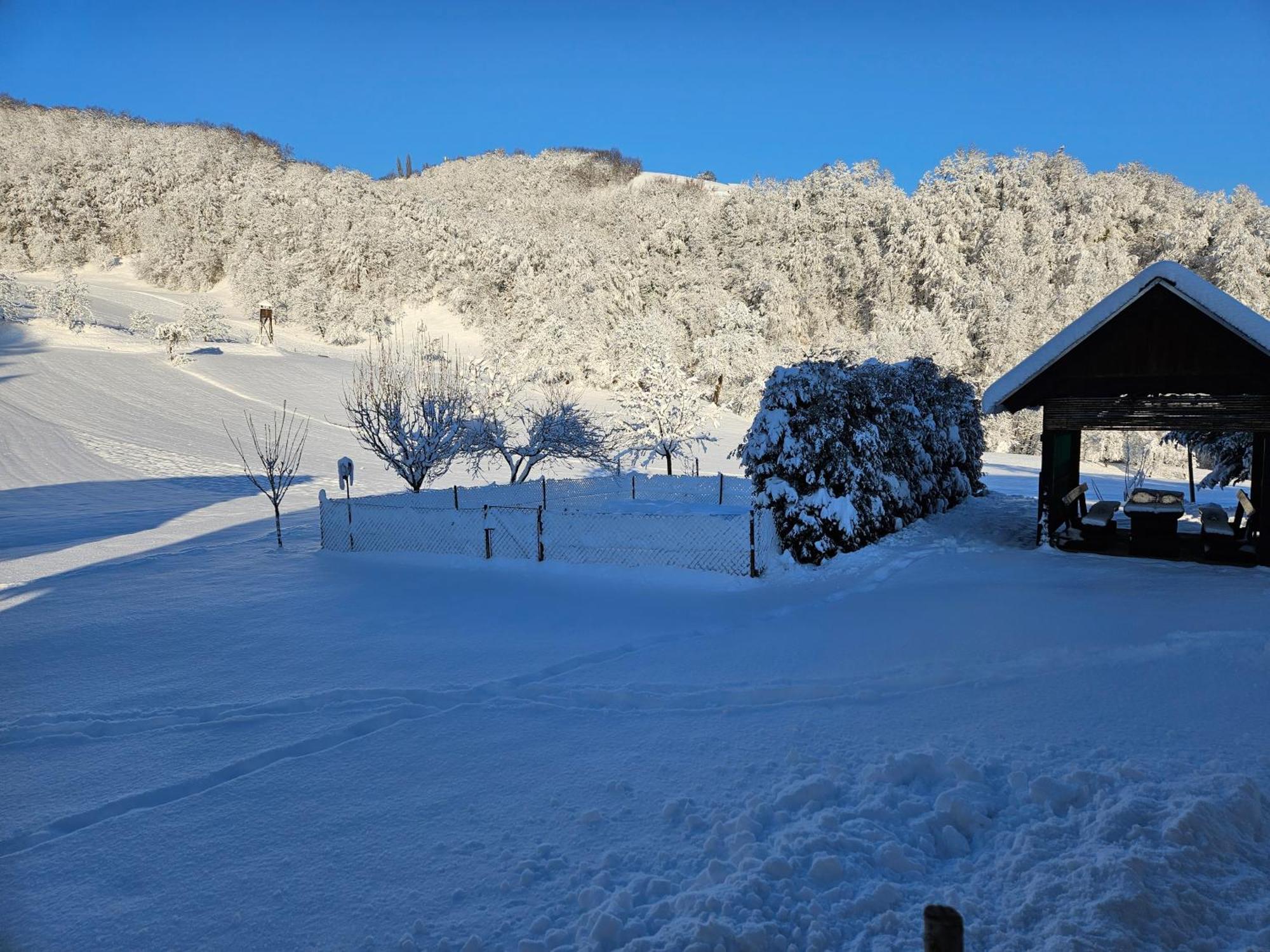Buce Francek House Podcetrtekヴィラ エクステリア 写真